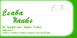 csaba mauks business card